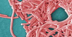 Legionnaires' Disease