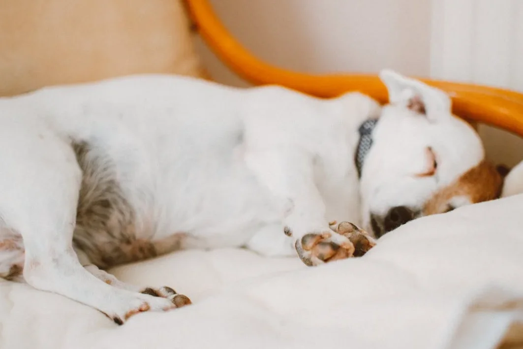 Surry Hills footpath